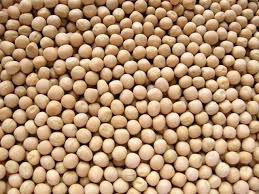 Fresh 100% Natural  Vatana Yellow or Yellow Peas Organic Sphere LLC