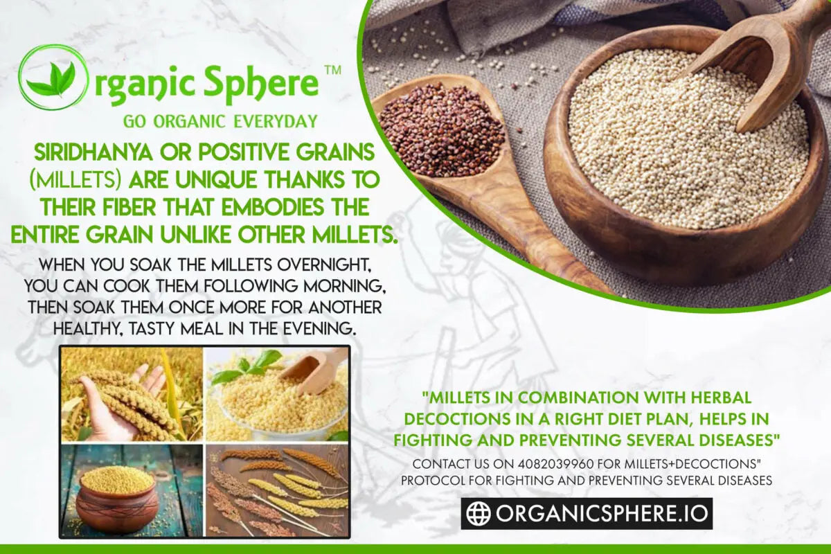Healthy and relaxed lifestyle - Organic Sphere