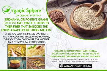 Healthy and relaxed lifestyle - Organic Sphere