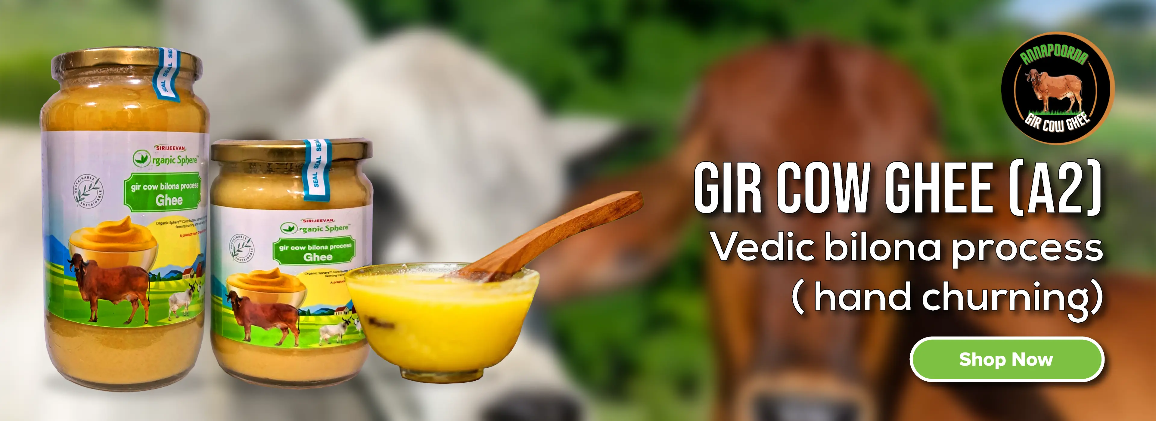 Ghee Appa 🧈 A2 Ghee: The Ancient Superfood Making a Modern Comeback - Organic