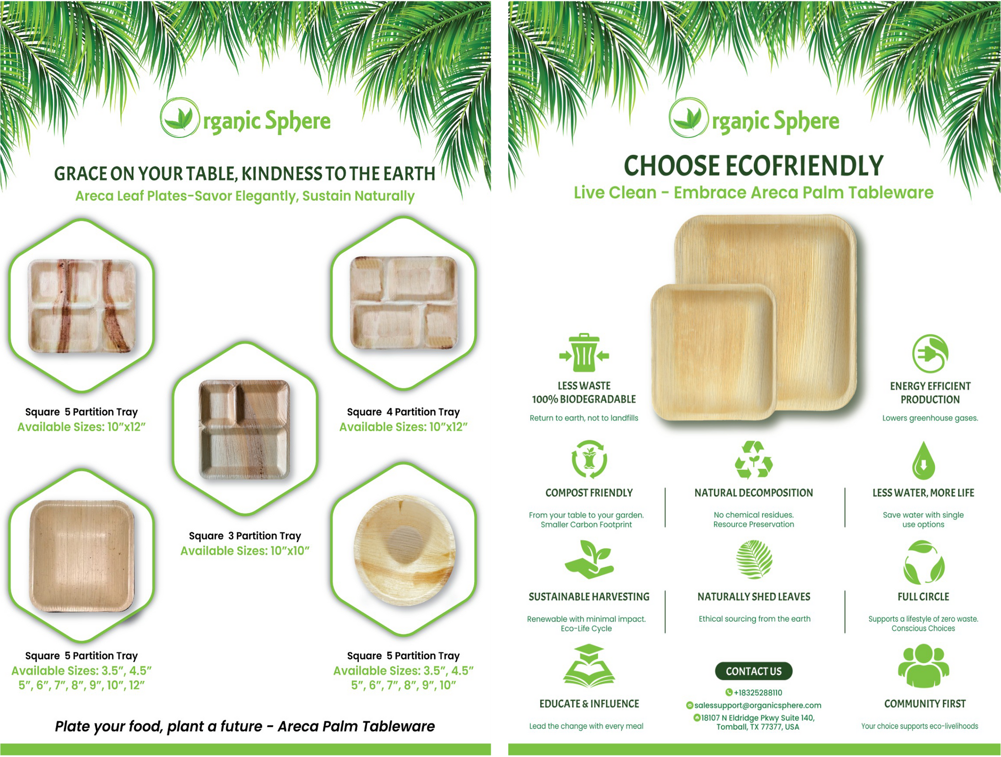 The Areca Palm Collection: Catalyzing Eco-Sustainability in Non-Profits