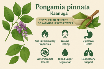 Pongamia pinnata medicinal uses: Top 7 health benefits of Kaanuga leaves powder