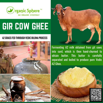 A2 Gir Cow Ghee (Hand Made Desi Ghee) - 5 KG / 5 Liter Tin