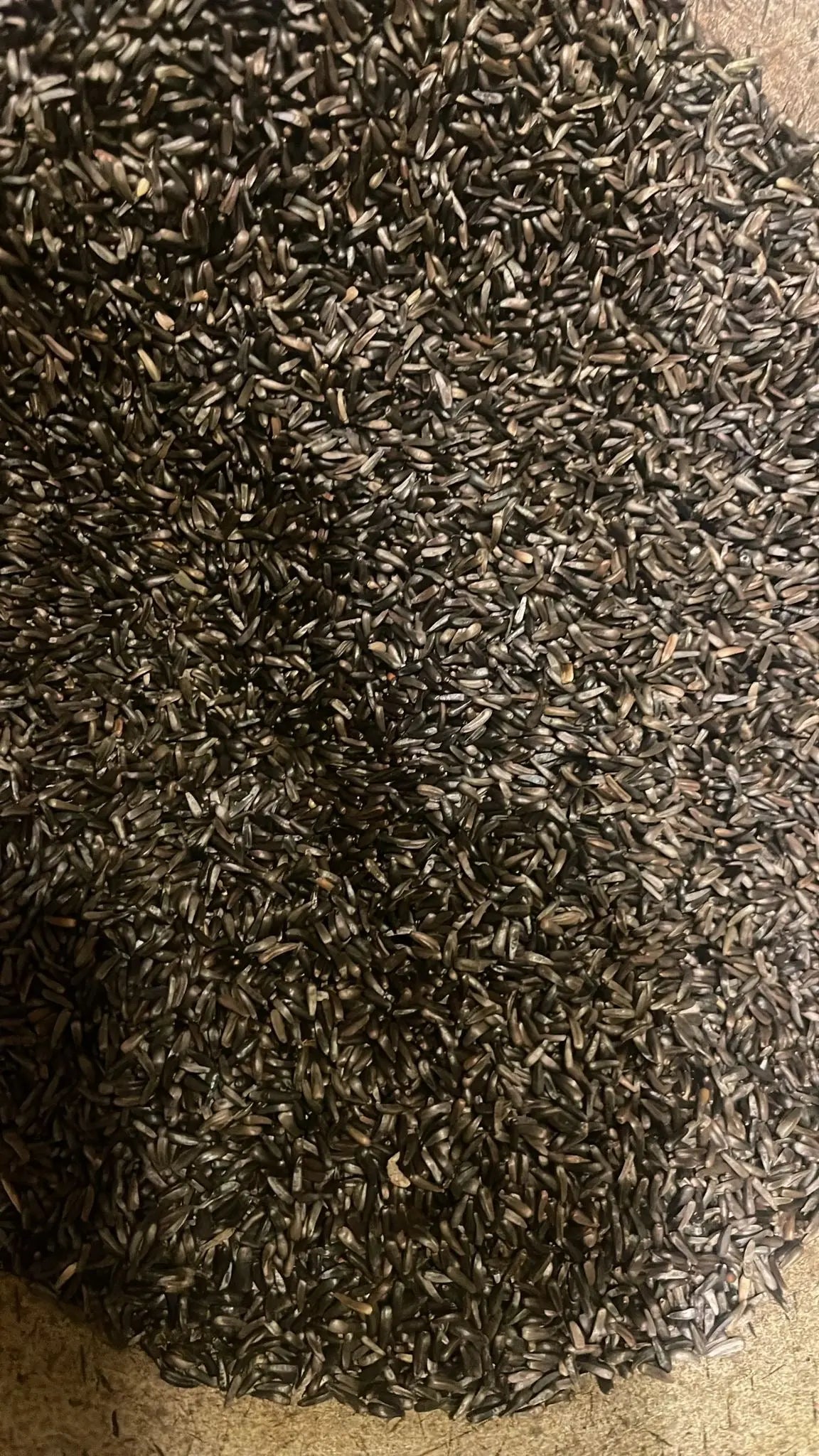 Fresh ground - Niger Seeds Coffee Organic Sphere