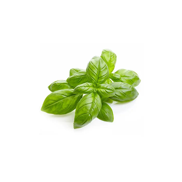 Basil Oil - 100 gms