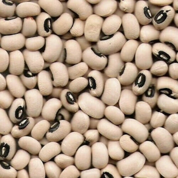 Cowpea Dal (Can Sprout)