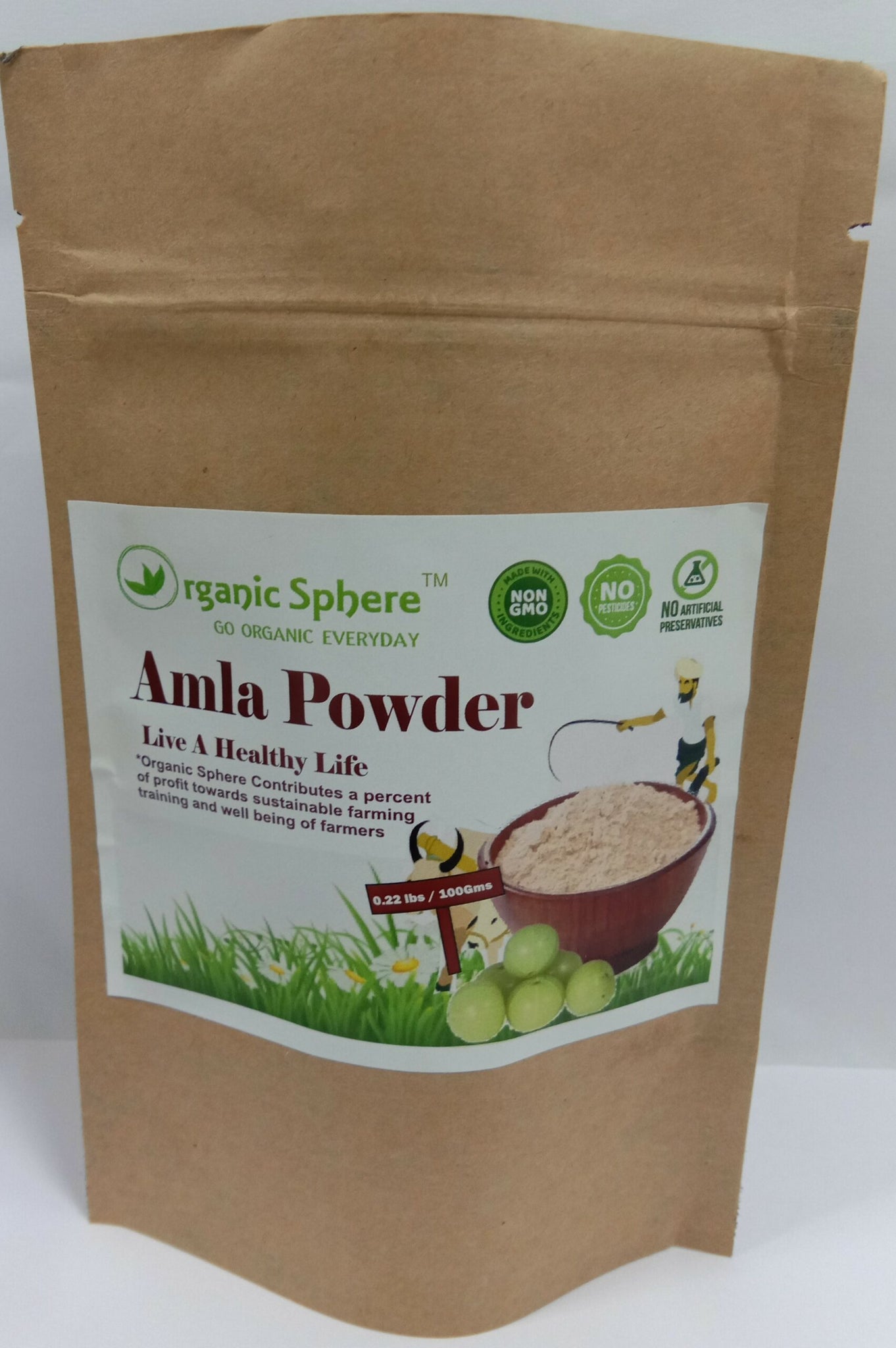 Amla Powder (100g)
