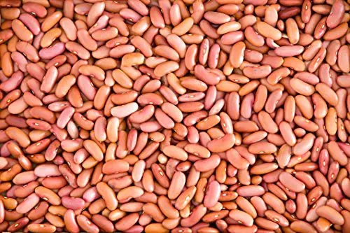 Fresh Himalayan Rajma | Natural Red Kidney Beans