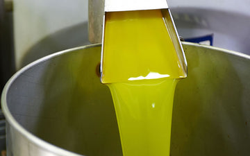 Cold Pressed Olive Oil - 32 Fl Oz